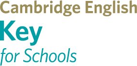 cambridge schools